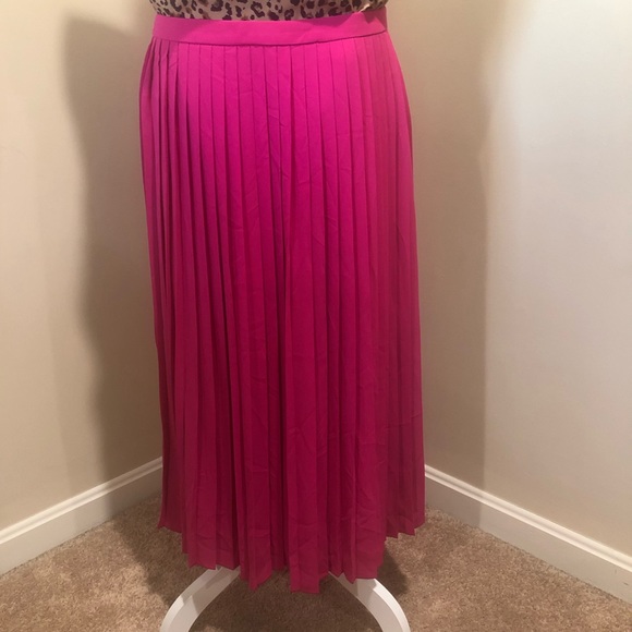 BNWT Fully Lined Pleated J. Crew Midi Skirt - Picture 1 of 6